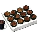 Sambrani Havan Cups Guggal Dhoop (2.5 cm) - Pack of 12 (Loban)
