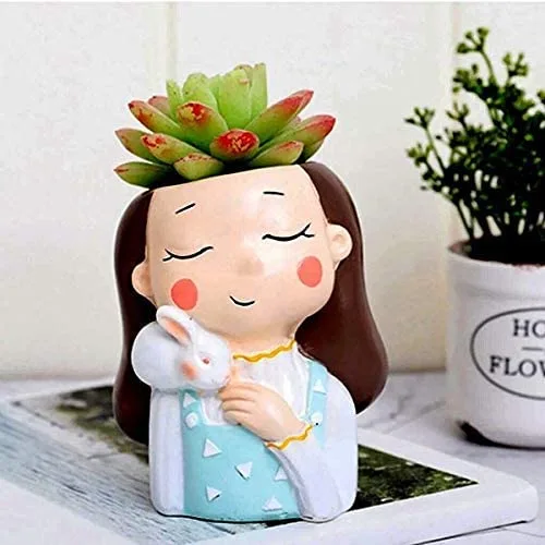 Creative resin succulent planter pot for home and office decor